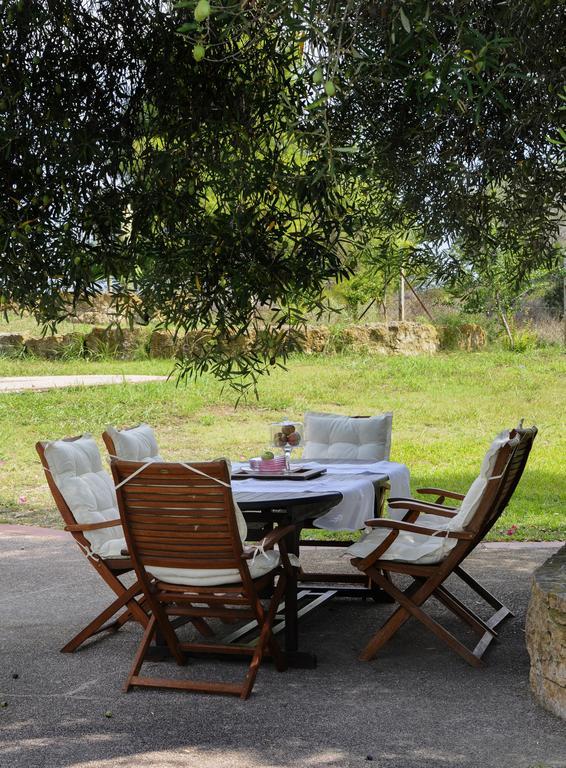 Olivos Villa Sani Sani  Номер фото
